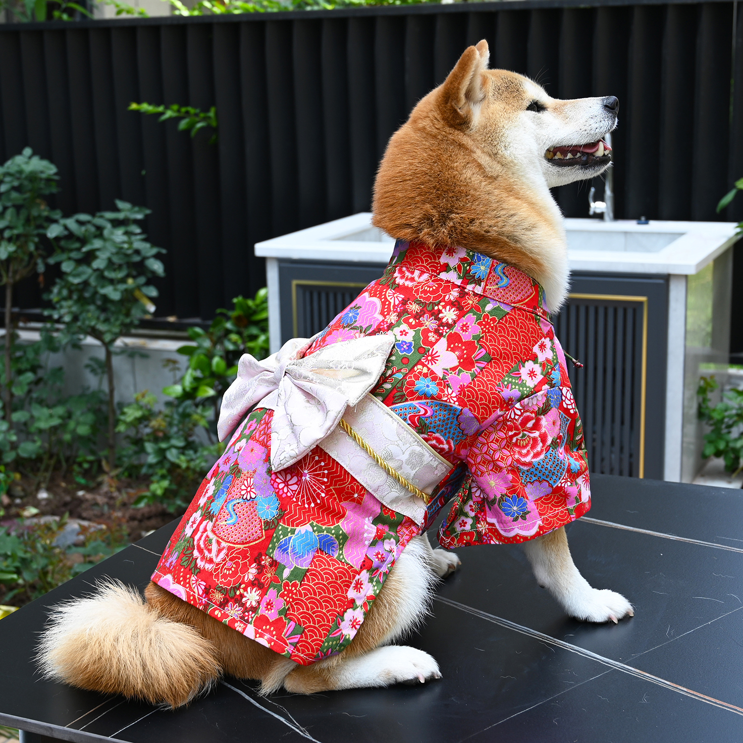 芮柴家宠物狗狗柴犬衣服 纯棉和风日式和服柯基泰迪拍照摄影服装