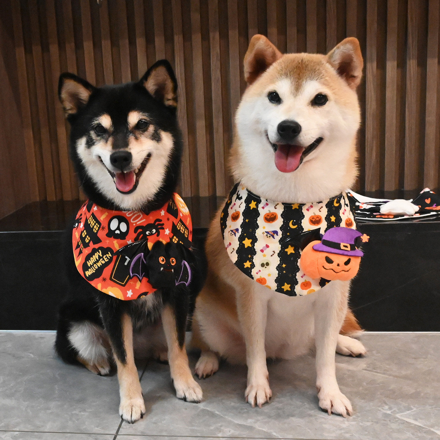 万圣节宠物猫咪狗狗法斗泰迪柴犬围巾口水巾三角巾南瓜围脖纯棉