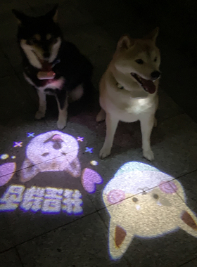 宠物狗狗柯基泰迪雪纳瑞法斗柴犬夜灯社交灯投影灯USB充电遛狗灯