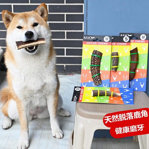 新西兰柴犬磨牙棒耐咬天然鹿角