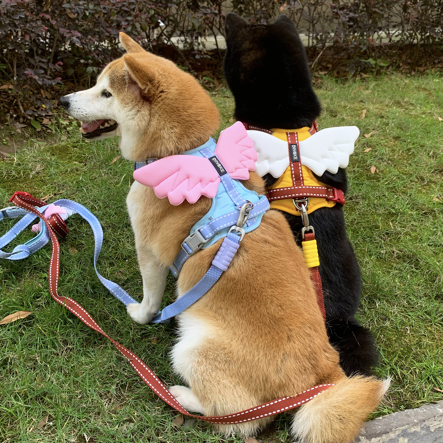 宠物狗狗柯基泰迪边牧柴犬胸背带拉胸肩带牵引绳遛狗防爆冲狗绳