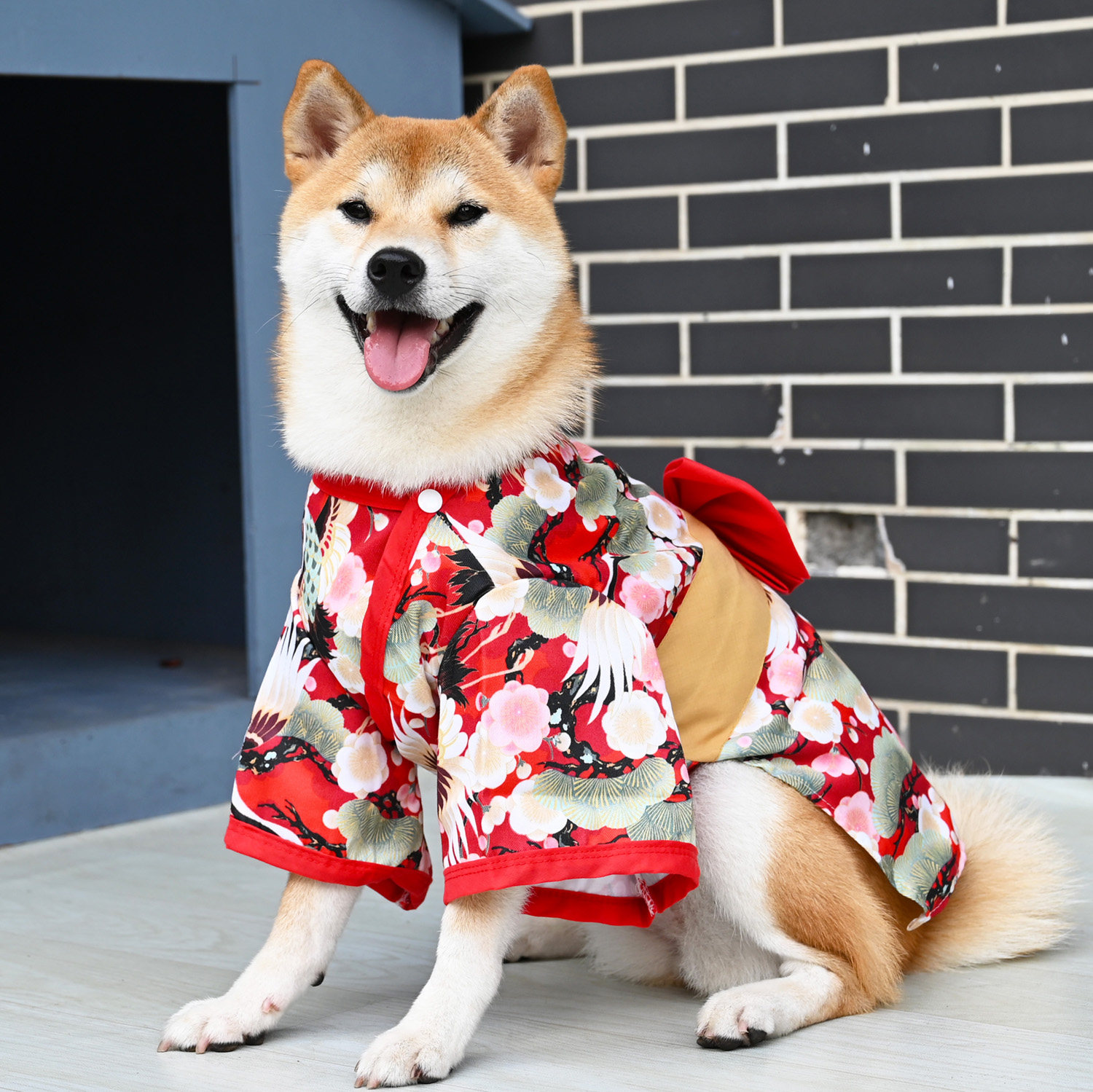 柴犬和服猫咪衣服和风日系泰迪柯基雪纳瑞宠物蝴蝶结复古国风衣服