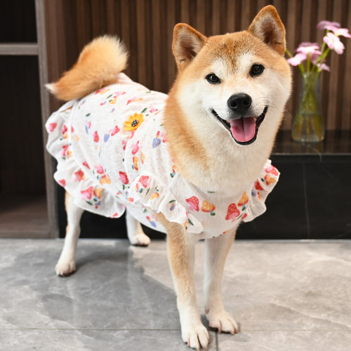 宠物狗狗泰迪柯基比熊柴犬衣服猫咪薄款背心防掉毛防晒衣四季衬衫
