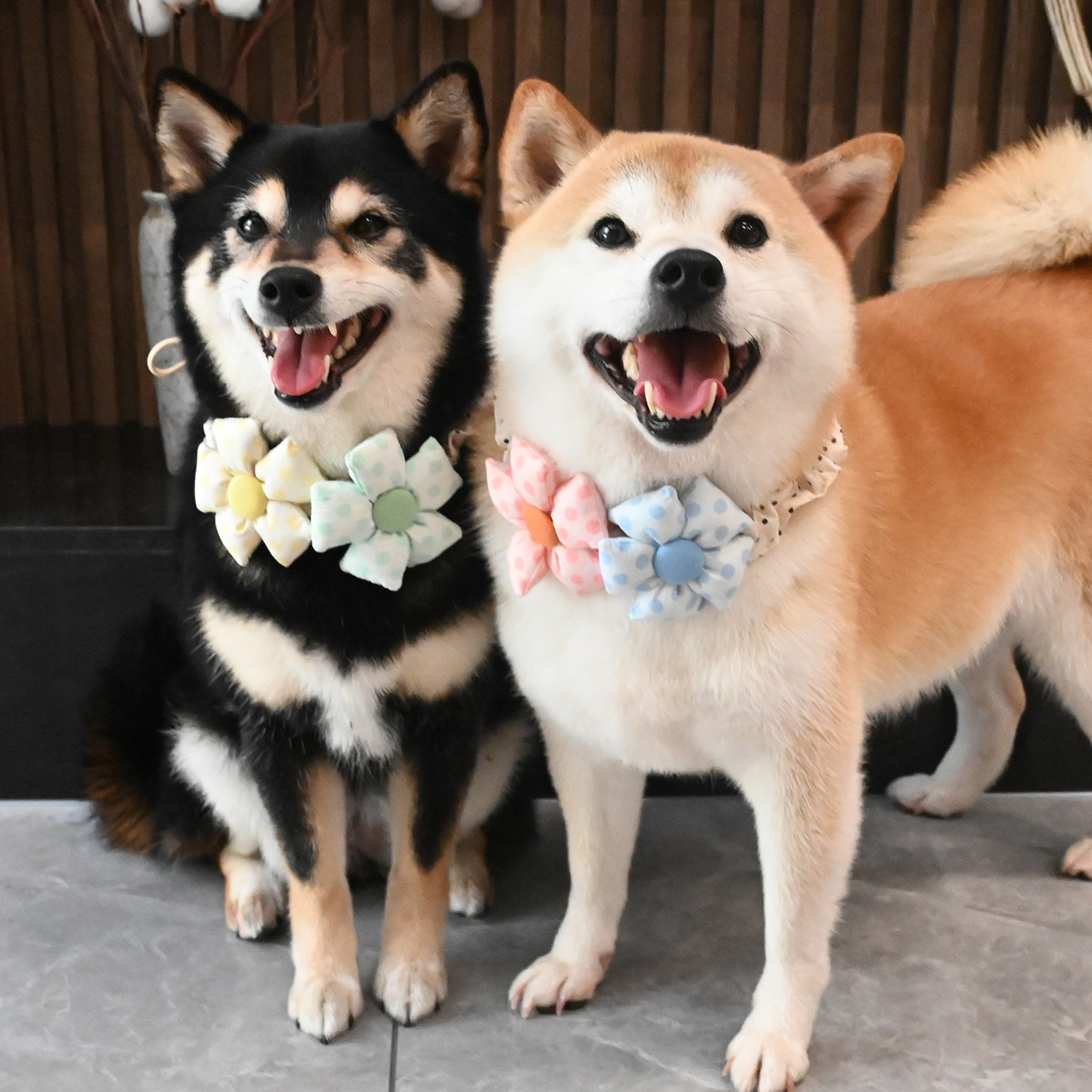 糖果马卡龙/宠物狗狗猫咪柯基泰迪柴犬领结彩虹花朵脖圈围脖饰品