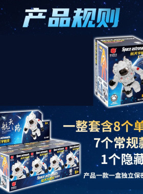 翔竣积木航天宇航员飞行专家太空人仔拼装益智手办模型创意玩具男