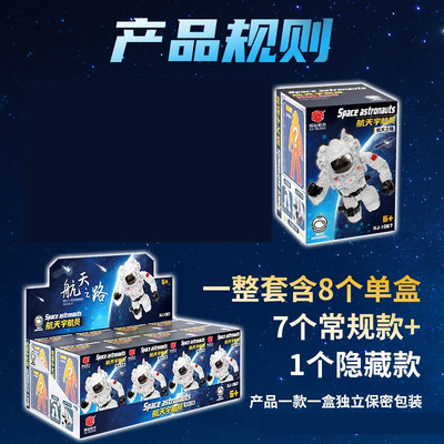 翔竣积木航天宇航员飞行太空人