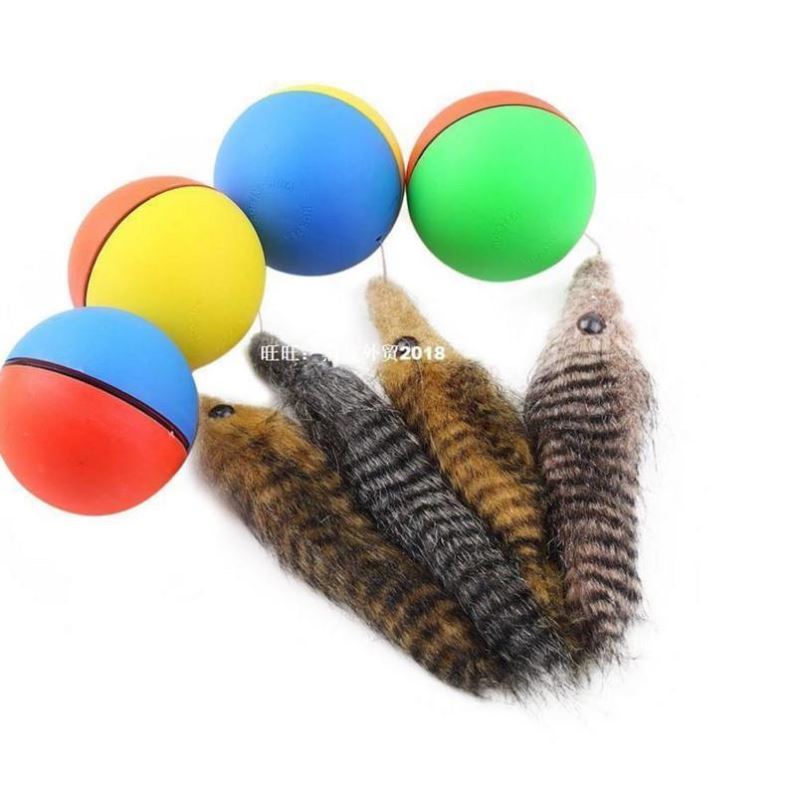 -1pcs cat toys beaver weasel rollin motor ball toy for pet