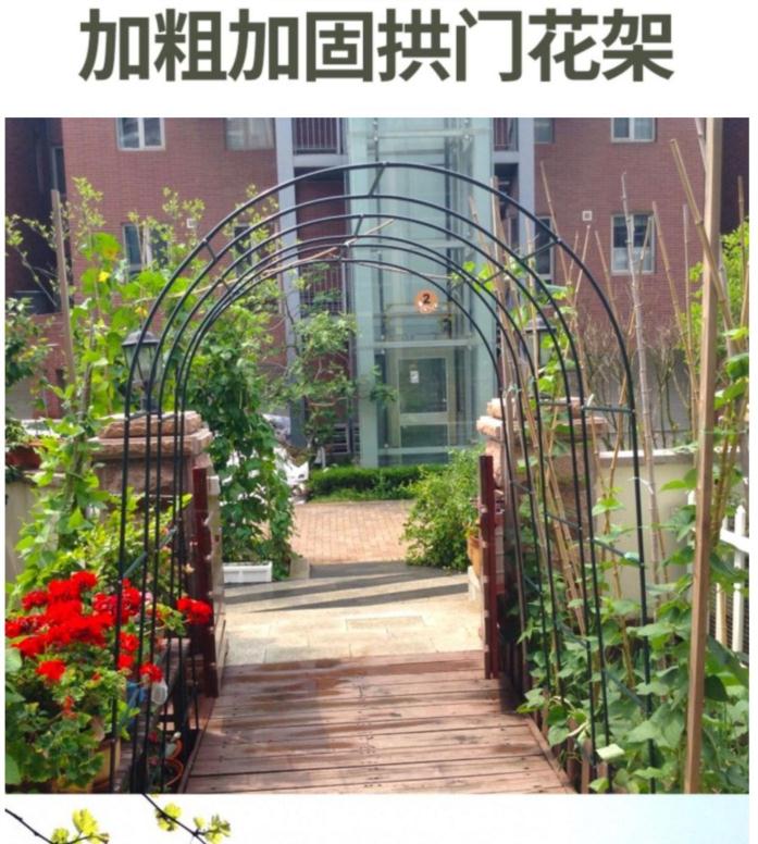 arch Flower trellis Climbing frame Garden Chinese rose Bracket Clematis Green plant Plant stand outdoors Anthurium courtyard decoratein the Flower delivery/Flowers simulation/Plants gardening , Vase/Flower/Flowerpot/Flower (New) , Flower  category - from Buy2taobao.com to provide professional Taobao agent buy service