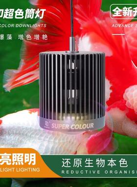 马印神灯全光谱LED鱼缸筒灯金鱼灯专用爆藻增色水草灯兰寿灯神灯
