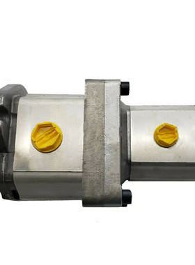 新款DANFOSS双联泵SNW3NN/026RN07 SNP SNW SKM 1 2 3 NN 048包邮