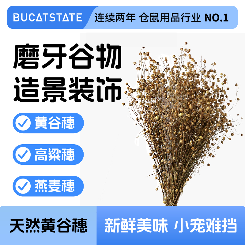 仓鼠造景装饰用品布卡星
