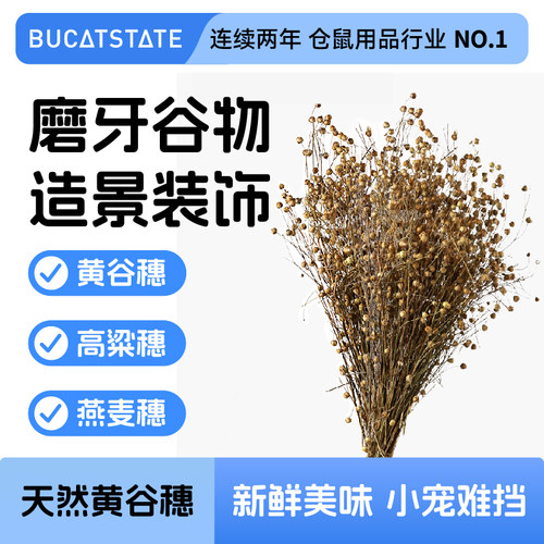 仓鼠造景装饰用品布卡星
