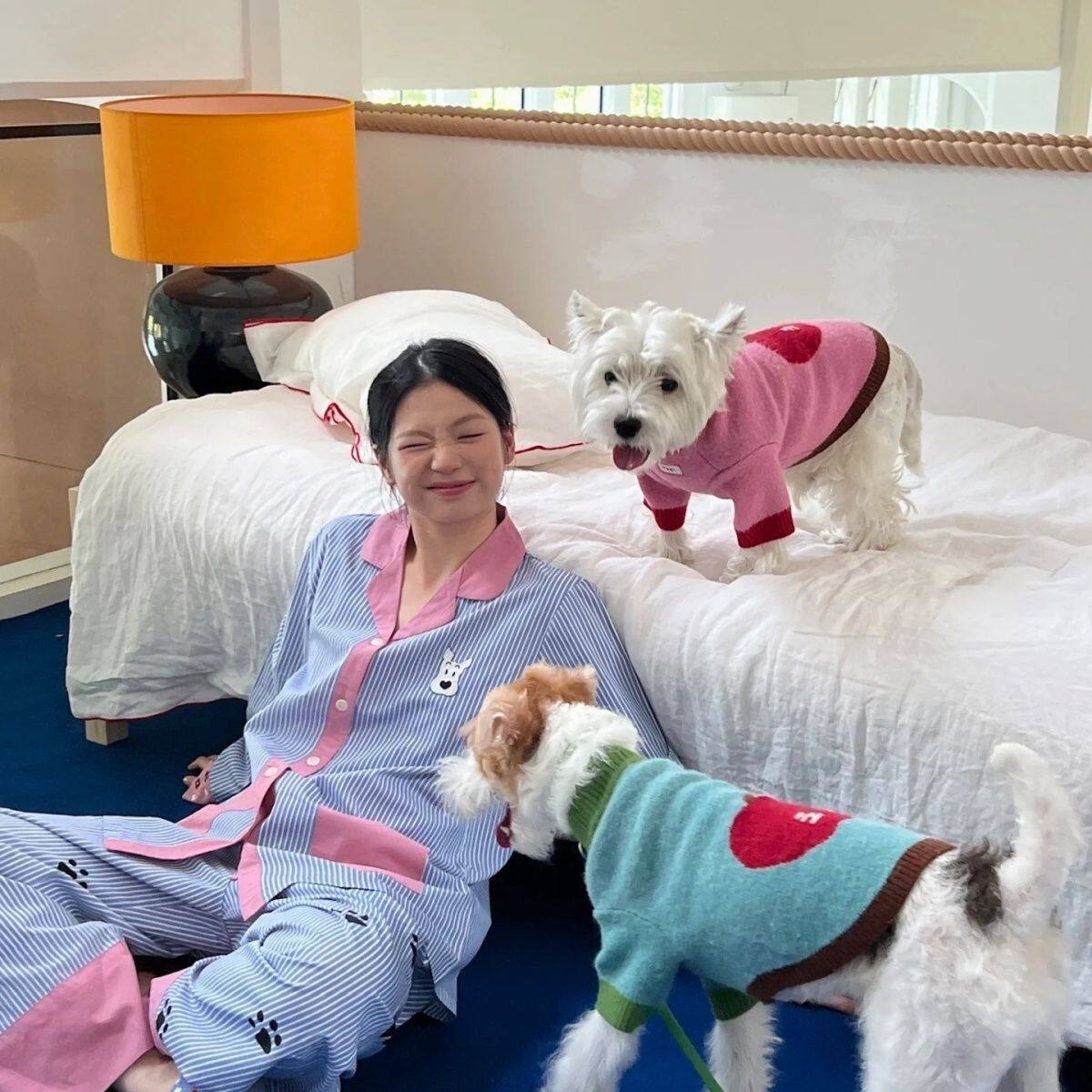 猫咪宠物中小型狗狗衣服泰迪比熊狗宠物服装/雨衣