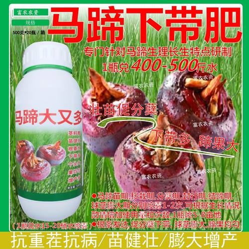 马蹄专用下带药马蹄大又多促带增带果实膨大果实防裂促分蘖防红尾