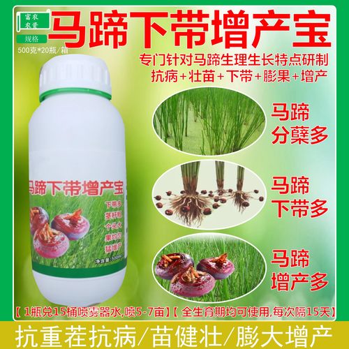 马蹄专用下带药增产宝促带增带膨大果实增加甜度200mI一瓶打2亩