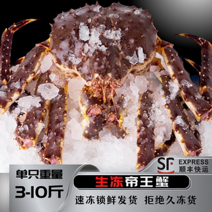 帝王蟹海鲜鲜活水产10斤特大螃蟹冰鲜生冻冰冻超大皇帝蟹顺丰包邮