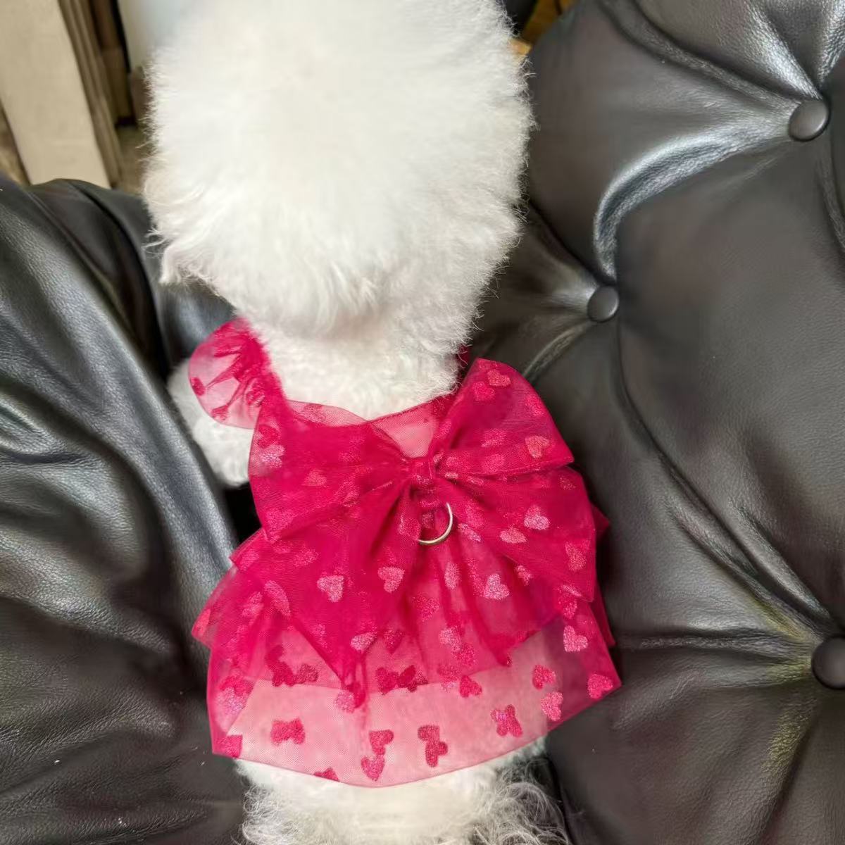 夏季新款吊带网纱蕾丝透气蓬蓬裙仙女风猫咪狗狗衣服公主风