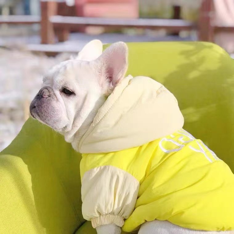 狗狗冬装法斗巴哥棉服西高地雪纳瑞冬季棉衣比熊加厚防寒服,宠物/宠物食品及用品,狗宠物服装/雨衣,淘宝优惠券,粉丝福利购,淘宝优惠卷