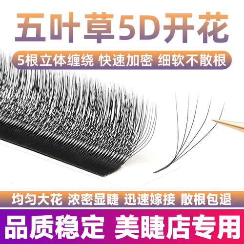 五叶草5D开花睫毛超软不散根