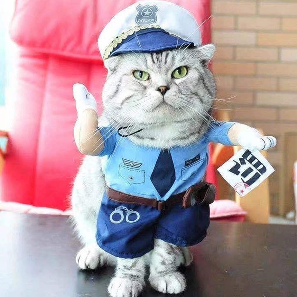 猫咪狗狗搞笑宠物直立变身装猫咪衣服狗狗搞怪猫英短可爱夏装薄款