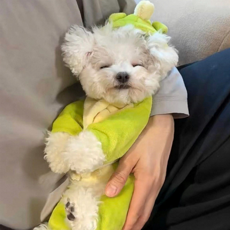 狗狗衣服2025春季新款可爱宠物四脚衣泰迪比熊可牵引恐龙变身装,宠物/宠物食品及用品,狗宠物服装/雨衣,淘宝优惠券,粉丝福利购,淘宝优惠卷