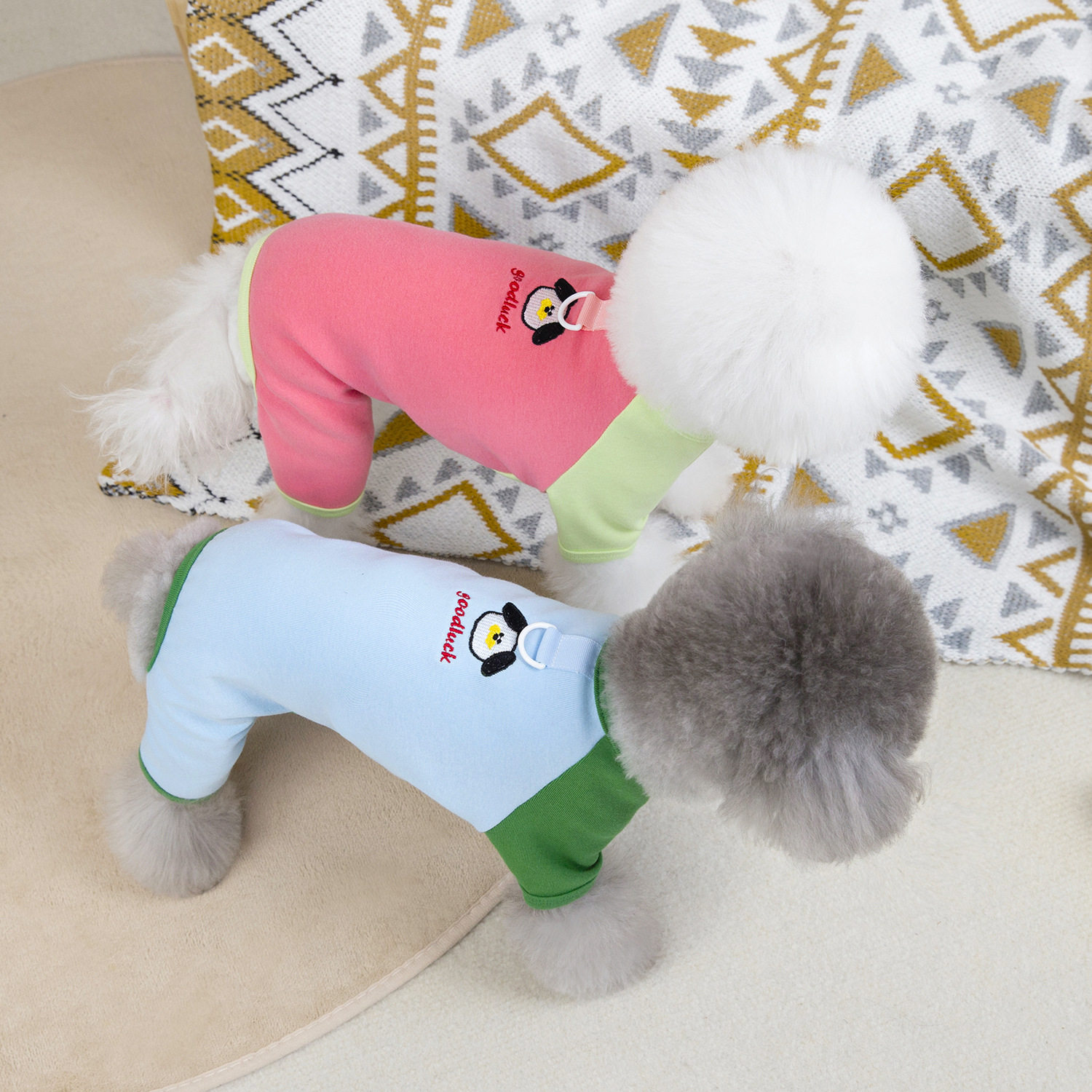 宠物用品宠物服装狗猫衣服小型犬衣服拼色四腿家居服,宠物/宠物食品及用品,狗宠物服装/雨衣,淘宝优惠券,粉丝福利购,淘宝优惠卷