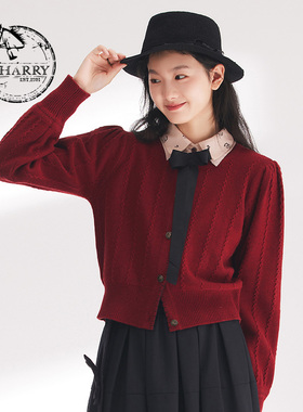 D-HARRY/迪哈利2024春显瘦百搭复古红色毛针织开衫DH241C96989D