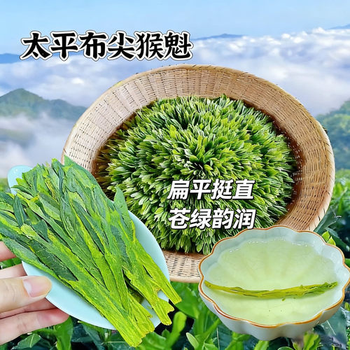 太平布尖绿茶2024年新茶太平猴魁