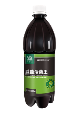 高浓缩信鸽鸽子活菌益生菌