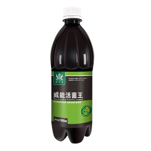 威能活菌王高浓活菌益生菌水绿便非鸽药鸽子药信鸽肠道专用药大全