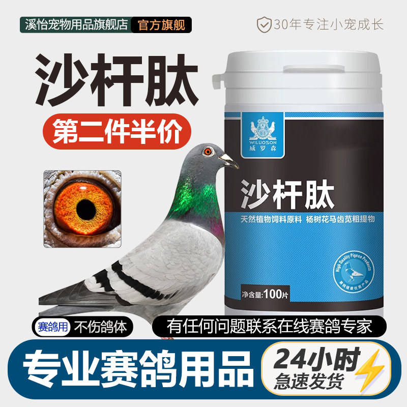 鸽子沙杆肽拉稀水绿白便歪头脖噬菌体沙门氏菌鸽子大全常见专用品