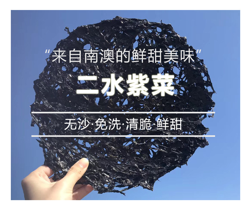 【识货】2024秋 新紫菜 二水  南澳紫菜 500g 一斤 无沙鲜甜