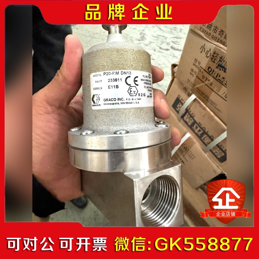 原装固瑞克阀P20-RM DN13 233811 一共有议价