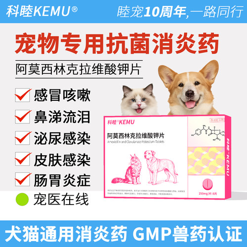科睦阿莫西林克拉维酸钾250mg宠物专用消炎药猫狗感冒咳嗽打喷嚏