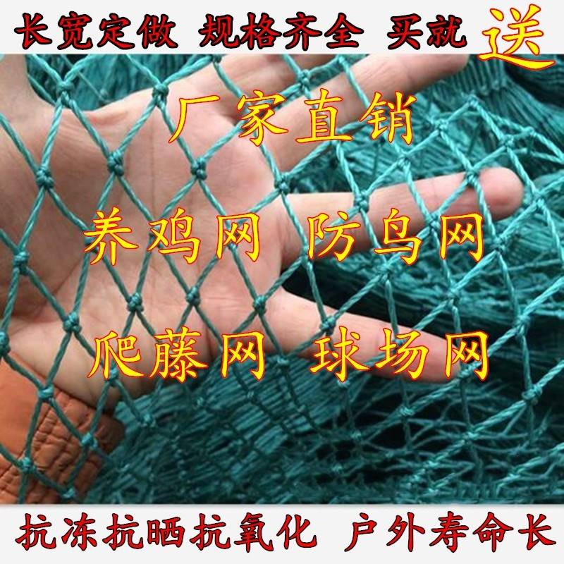 拦鸭网鸡用篮粗线柔软围栏网葡萄园抄网鸟笼球场鸡家禽养殖网在类目 鲜花速递/花卉仿真/绿植园艺, 园艺用品, 其它园艺用品中 - 来自Buy2taobao.com提供专业的淘宝代购服务