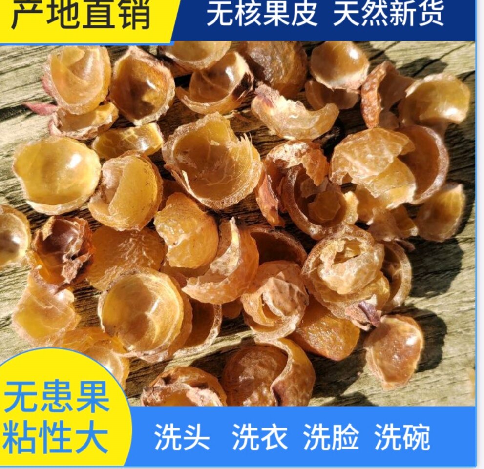 无患子果皮 天然新鲜货手工去核圆皂角粉油肥皂果实种可做酵素1斤
