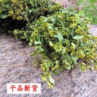 今年正宗细叶猫眼草马虎眼乳浆大戟干品中草药整棵带根新货