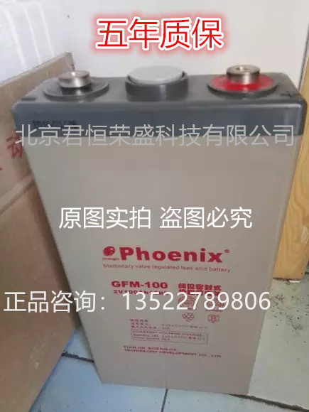 Phoenix凤凰铅酸蓄电池GFM-100