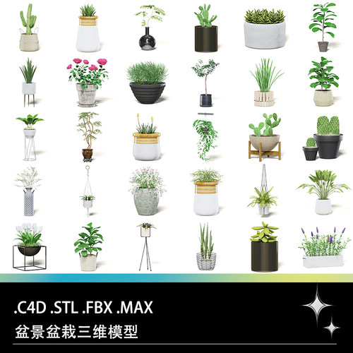C4D FBX STL MAX盆景盆栽植物仙人掌鲜花琴叶榕羽扇豆芦荟模型