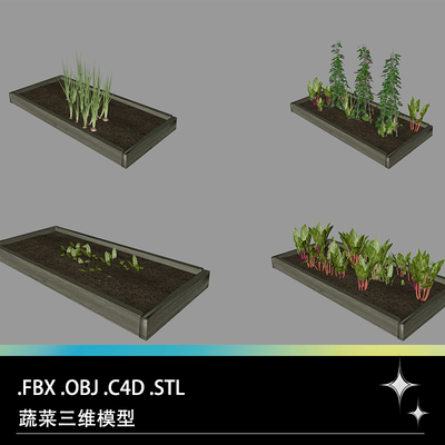 C4D FBX STL OBJ蔬菜牛皮菜厚皮菜洋葱花树莓藤豆荚菜豆三维模型
