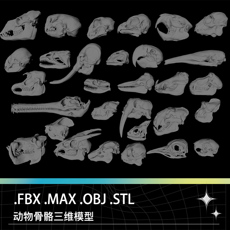 3DMAX OBJ STL动物大象松鼠鳄鱼海狸游隼猎豹海獭缅甸猫头骨模型