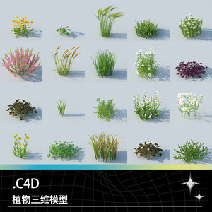 C4D MaxWell植物稻草三叶草甘菊雏菊蒲公英羽毛草石南花草坪模型