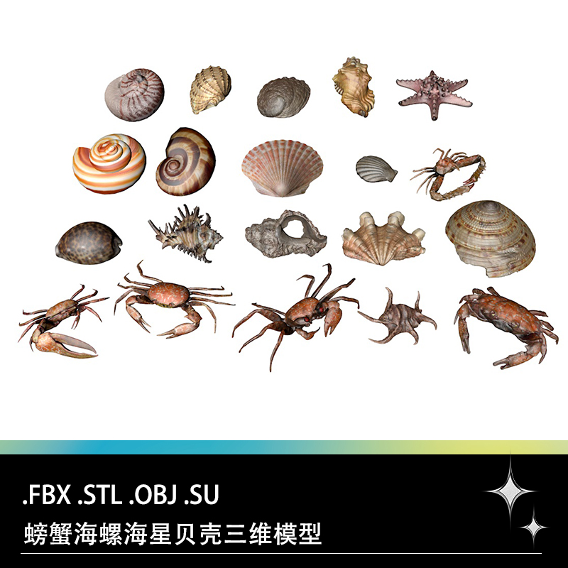 FBX STL OBJ SU海螺贝壳螃蟹蚌章鱼海洋生物三维3D打印模型文件