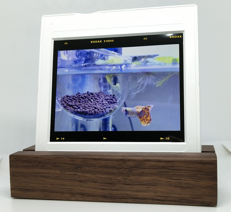 创意定制翻拍菲林胶片