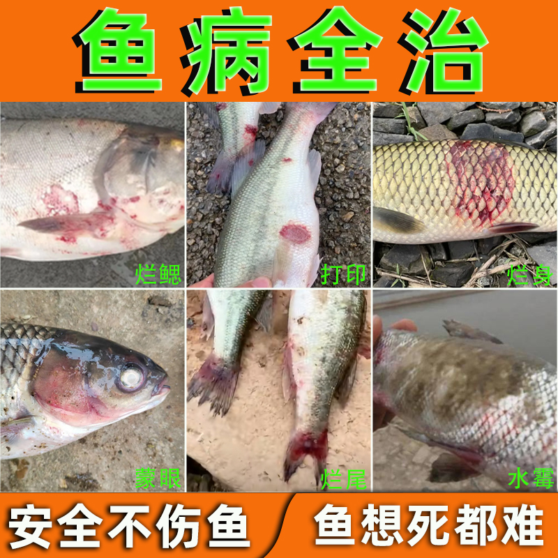 农科院推荐水产养殖鱼病专用药