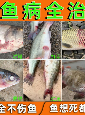 鱼药烂身烂尾炸鳞烂鳃水霉病克星专治鱼缸水产养殖鱼塘消毒杀菌药