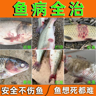 农科院推荐水产养殖鱼病专用药