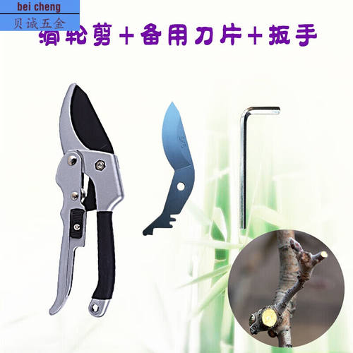 剪枝剪刀园林绿化滑轮省力果枝剪园林园艺剪树枝修枝剪刀粗枝剪电