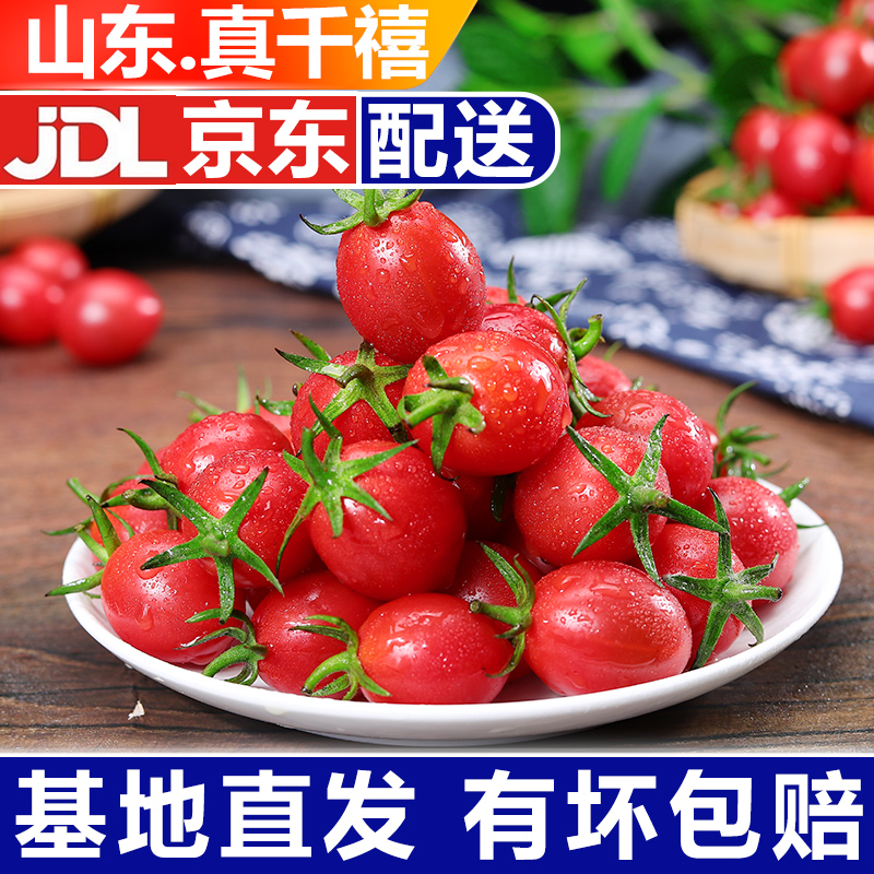 【顺丰】正宗千禧新鲜现摘番茄
