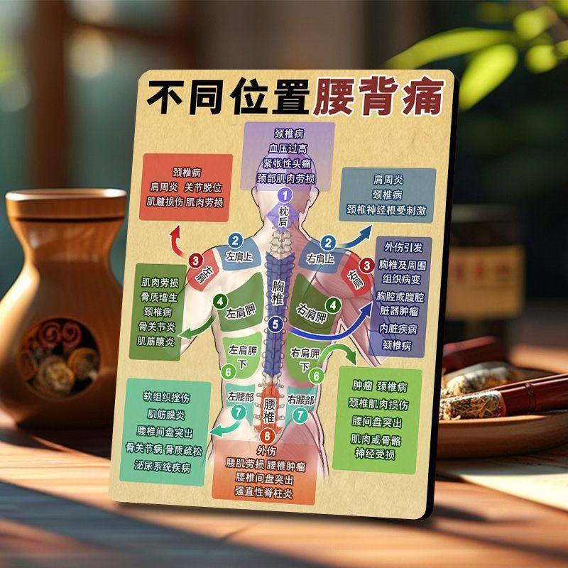 腰背痛问题图鉴木制相框摆件中医馆复建馆按摩店科普装饰摆台